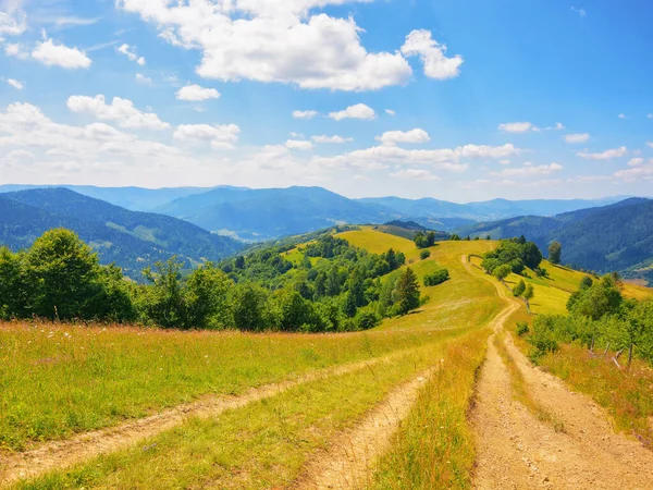 丘や草原を抜ける道です トランスカルパシアの山岳地帯を探索してください ウクライナの夏休み — ストック写真