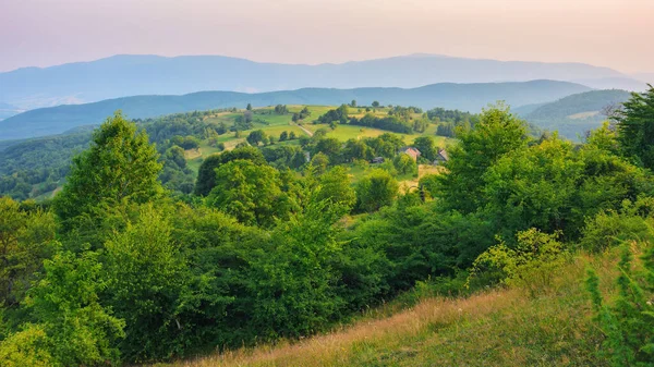 Landelijk Berglandschap Avondlicht Prachtig Landschap Met Bomen Weiden Heuvels Rollend — Stockfoto