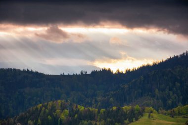 Karpatya kırsal kesiminde ilkbaharda gün batımında. Bulutlu bir gökyüzünün altında ormanlık tepeleri olan dağlık bir manzara. Akşam ışığında doğa arkaplanı