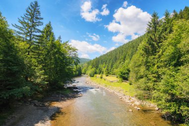 countryside landscape with mountain river. trees along the rocky shore and forest on the hill