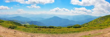 Dağ tepesinden geçen patika. Yazın Karpat Dağları 'nın muhteşem manzarası. Ukrayna 'ya seyahat