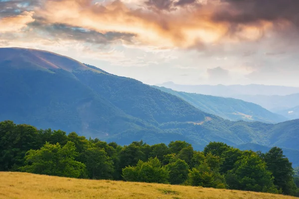 Mountainous Carpathian Countryside Beech Trees Grassy Hill Beautiful Landscape Warm — 图库照片