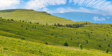 mountain landscape with grassy meadow. nature scenery in summer