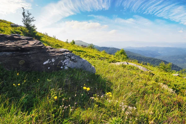 Dağlık Doğa Manzarası Tepedeki Ağaçta Kayaların Arasında Güneşli Yaz Manzarası — Stok fotoğraf