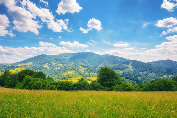 Countryside Scenery Meadow Mountains Empty Grassy Pasture Summer Green Hay — ストック写真