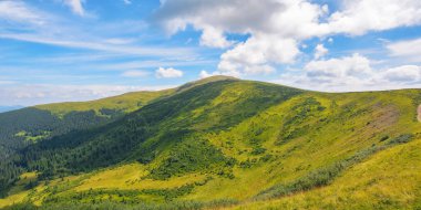 Yazın Karpatya kırsalında. Ukrayna 'nın popüler seyahat yeri. Parlak sabah ışığında manzara