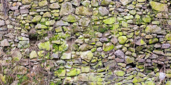 Stone Wall Background Texture Mossy Rocks — Stock fotografie