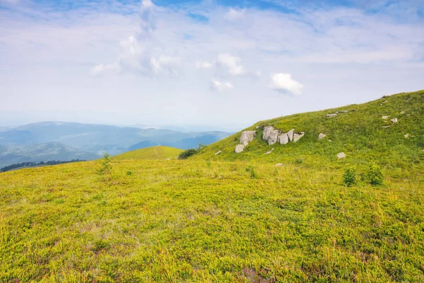 Meadows Carpathian Mountain Beautiful Summer Landscape Ukraine Sunny Weather Blue — Stock Photo, Image