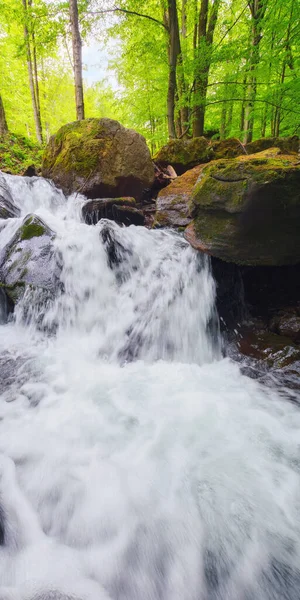 Waterfall Forest Beautiful Nature Scenery Summer — Stockfoto