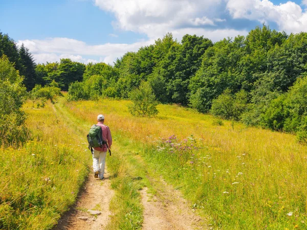 stock image country road through the grassy meadow with herbs. primeval carpathian beech forest in the distance. wonderful journey in to the wilderness. warm sunny day in summer