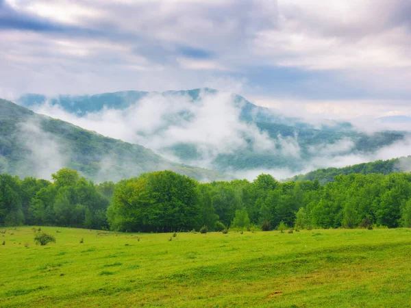 Krajobraz Górski Wsi Zielone Łąki Zalesione Wzgórza Wiosną Mglisty Poranek — Zdjęcie stockowe