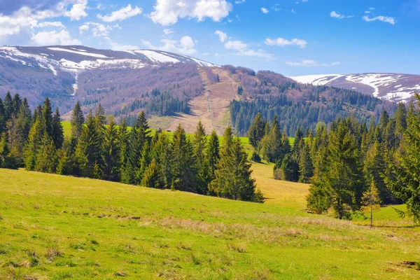 Ländliche Landschaft Mit Bewaldeten Hügeln Fichten Tal Buchen Auf Den — Stockfoto