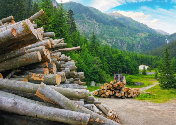 Taglio Deforestazione Del Legno Concetto Disastro Ambientale Montagne Carpatiche Estate — Foto Stock