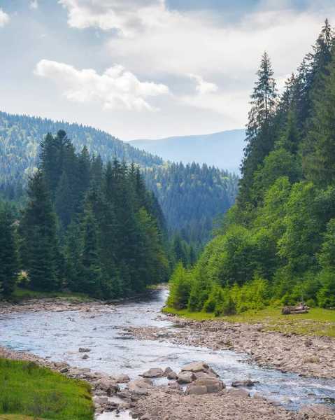 Гірський Пейзаж Річкою Фон Зеленого Середовища — стокове фото