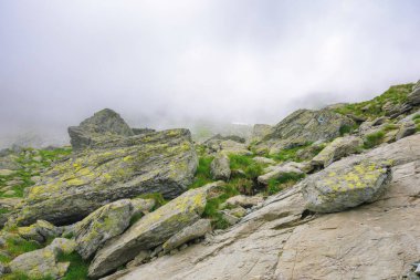 İbne dağlarının dik yamaçları, Romanya. Çimlerin arasında kayalar ve kayalar. Sisli hava. gizemli maceralar