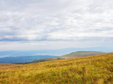 mountain landscape with grassy meadow. overcast sky