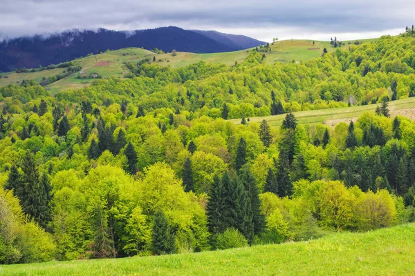 喀尔巴阡山森林 山丘上长满青草的田野和草地滚向遥远的乡村山谷 — 图库照片