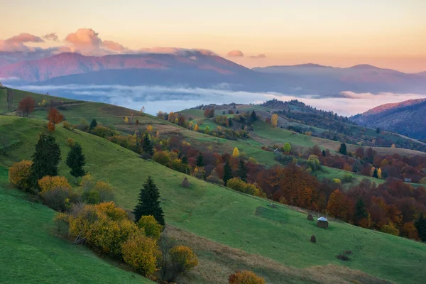 Nebliger Herbstsonnenaufgang Den Bergen Landschaft Mit Bunten Bäumen Auf Den — Stockfoto