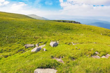 mountain landscape with grassy meadow. summer trip in to ukrainian carpathians. sunny weather with fluffy clouds on the sky