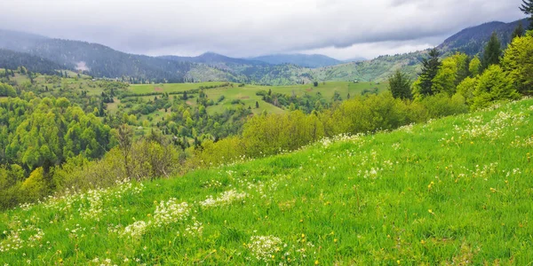 Сельский Горный Пейзаж Весной Травянистые Холмы Поля Холмах Далекий Хребет — стоковое фото
