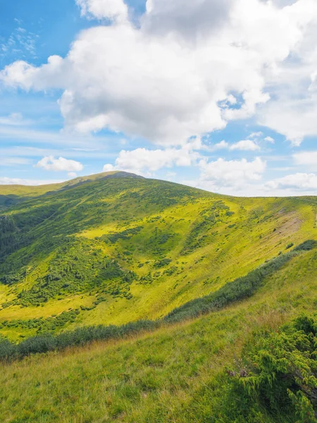 stock image green mountain landscape. popular travel destination of ukraine. warm summer forenoon