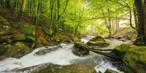 Ormandaki Nehirde Kayaların Arasında Lkbaharda Kırsal Manzara Doğadaki Güzellik — Stok fotoğraf