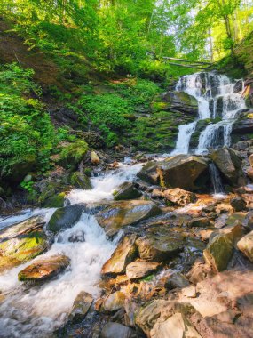 waterfall shypit of carpathian mountains. beautiful nature landscape in summer. popular travel destination of ukraine