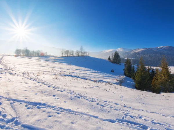 雪覆盖了喀尔巴阡山农村地区的田野 山上的树木 下午明亮的阳光下 远处的山岭 — 图库照片