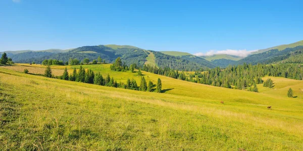 Krajina Loukou Horách Široká Zvlněná Venkovská Krajina Zelenými Poli Zalesněnými — Stock fotografie