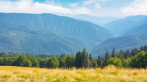 夏の山の風景 森林に覆われた丘や草原 晴れた日の午後の田園風景 — ストック写真