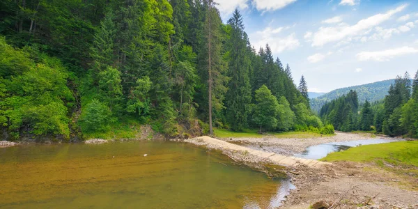 山の川の自然風景 海岸や森林の丘に石がある緑豊かな環境の背景 — ストック写真