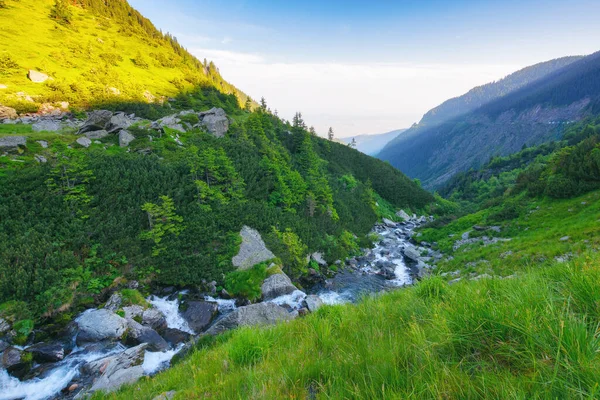Landschap Met Rivier Ochtend Prachtig Landschap Van Romania Bergen Zomer — Stockfoto