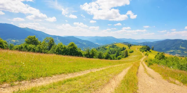 Dirt Road Grassy Meadow Rural Landscape Mountains Outdoor Recreation Summer — Stock Photo, Image