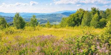 countryside scenery with meadow in mountains. summer landscape with rural valley in the distance