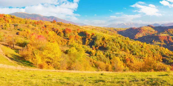 秋天的喀尔巴阡山乡村风景 五彩缤纷的风景 秋天的树叶点缀在山丘上 黄昏的阳光照射在草地上 远处的山岭 在艳丽的天空和蓬松的云彩下 — 图库照片