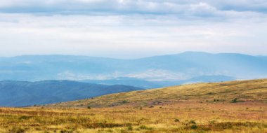 Dağlarda çayır olan kırsal bir manzara. Tepelerde aşınan çimenler