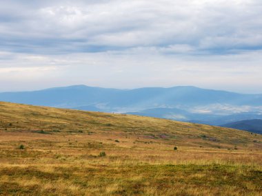 Çimenli çayırları olan karpatlar. uzak kırsal vadiye bakın.