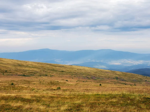Karpatská Krajina Travnatými Loukami Pohled Vzdáleného Venkovského Údolí — Stock fotografie