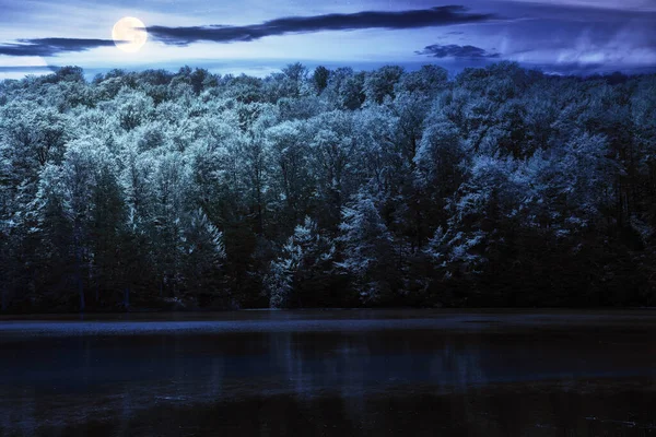 夜晚在森林中的湖中 在水里倒映着的树 月光下的午夜自然景观 — 图库照片