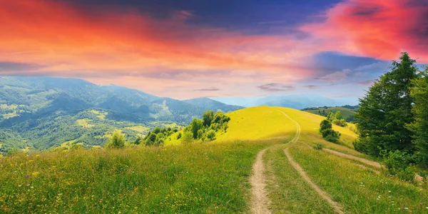 Path Hills Grassy Meadows Mountainous Summer Landscape Sunset Trees Road — Stock Photo, Image