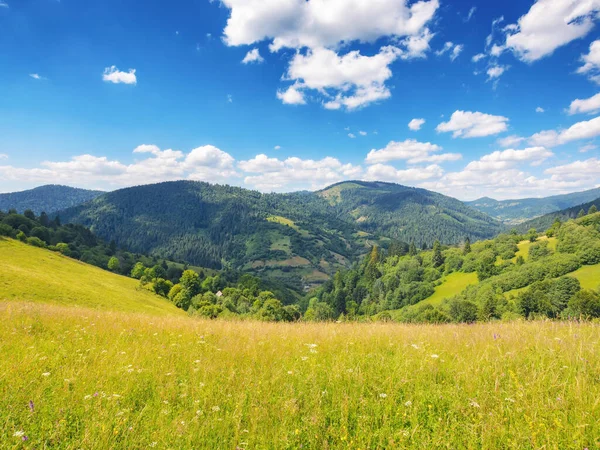 Karpatská Krajina Travnatými Loukami Krásná Válcování Krajina Létě Ohromující Oblohou — Stock fotografie