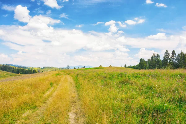 Lane Grassy Meadow Green Hills Rolling Distance Blue Sky Distant — Stock Photo, Image