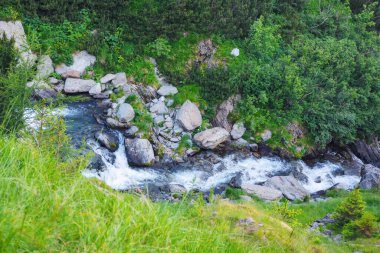 Tepedeki kayaların arasındaki dağ nehri. Yukarıdan görünüm
