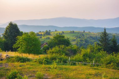 Yazın kırsal dağ manzarası. Dalgalı tepelerde ağaçlar ve çayırlarla vadiyi göz kamaştıran gün batımı manzarası