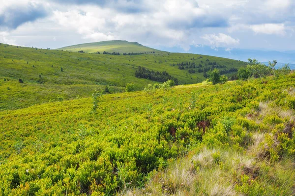 Grassy Hills Meadows Rolling Hills Landscape Carpathian Mountains Summer — Stock Photo, Image