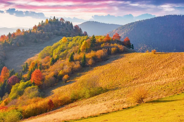 Trees Meadows Hills Evening Light Colorful Mountain Landscape Autumn Glowing — Stockfoto