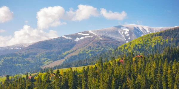 Лісисті Пагорби Гірської Сільської Місцевості Навесні Природні Фонові Пейзажі Ранковому — стокове фото