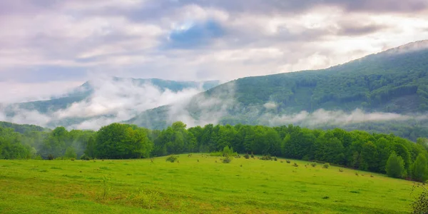 春天的喀尔巴阡山脉 长满青草的山上的树木和牧场 眺望遥远的山谷 多雾的寒冷天气 — 图库照片