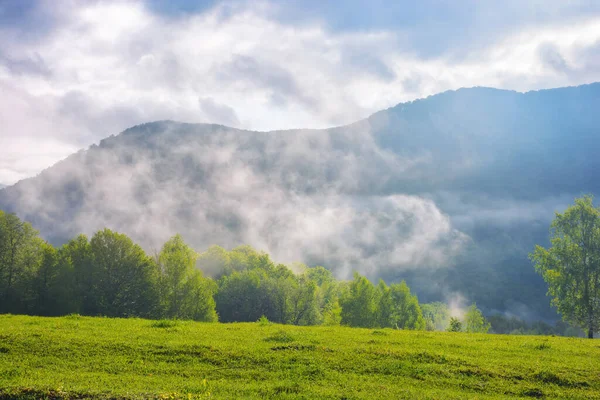 Prado Herboso Paisaje Montañas Ucranianas Vista Valle Distante Mañana Brumosa — Foto de Stock