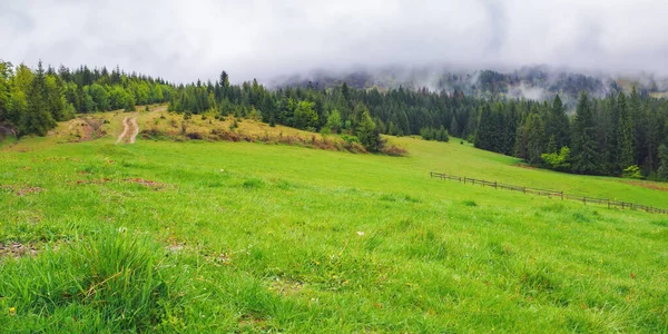 Paisaje Rural Con Montañas Boscosas Bosque Coníferas Los Cárpatos Ucrania — Foto de Stock